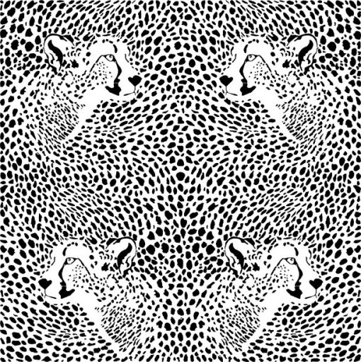 Cheetah Skins and Heads